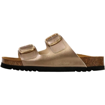Scholl Slippers  259487