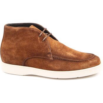 Giorgio Laarzen  Boy Schoen Suede Bruin