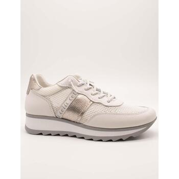 Cetti Sneakers  -