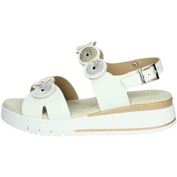 Cinzia Soft Sandalen  LF023080