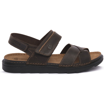 Lumberjack Sandalen  M0119 ASHER