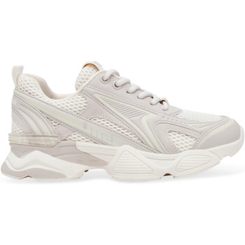 Steve Madden Sneakers  Baskets Speedster-E
