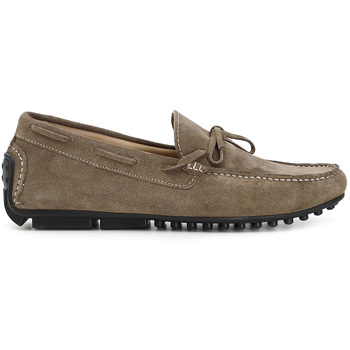 Café Noir Mocassins  C1XN6915