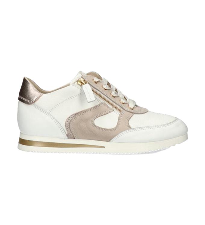 DL Sport 6251