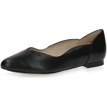 Caprice Ballerina's  -