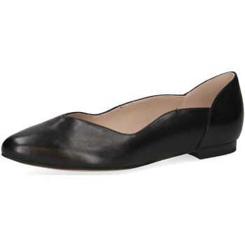 Caprice Ballerina's  -
