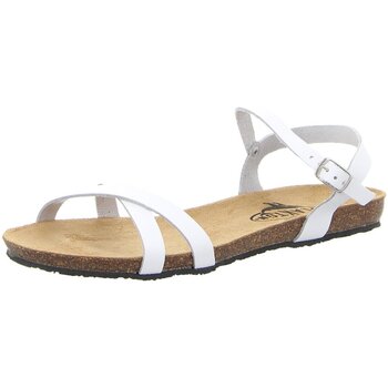 Plakton Sandalen  -