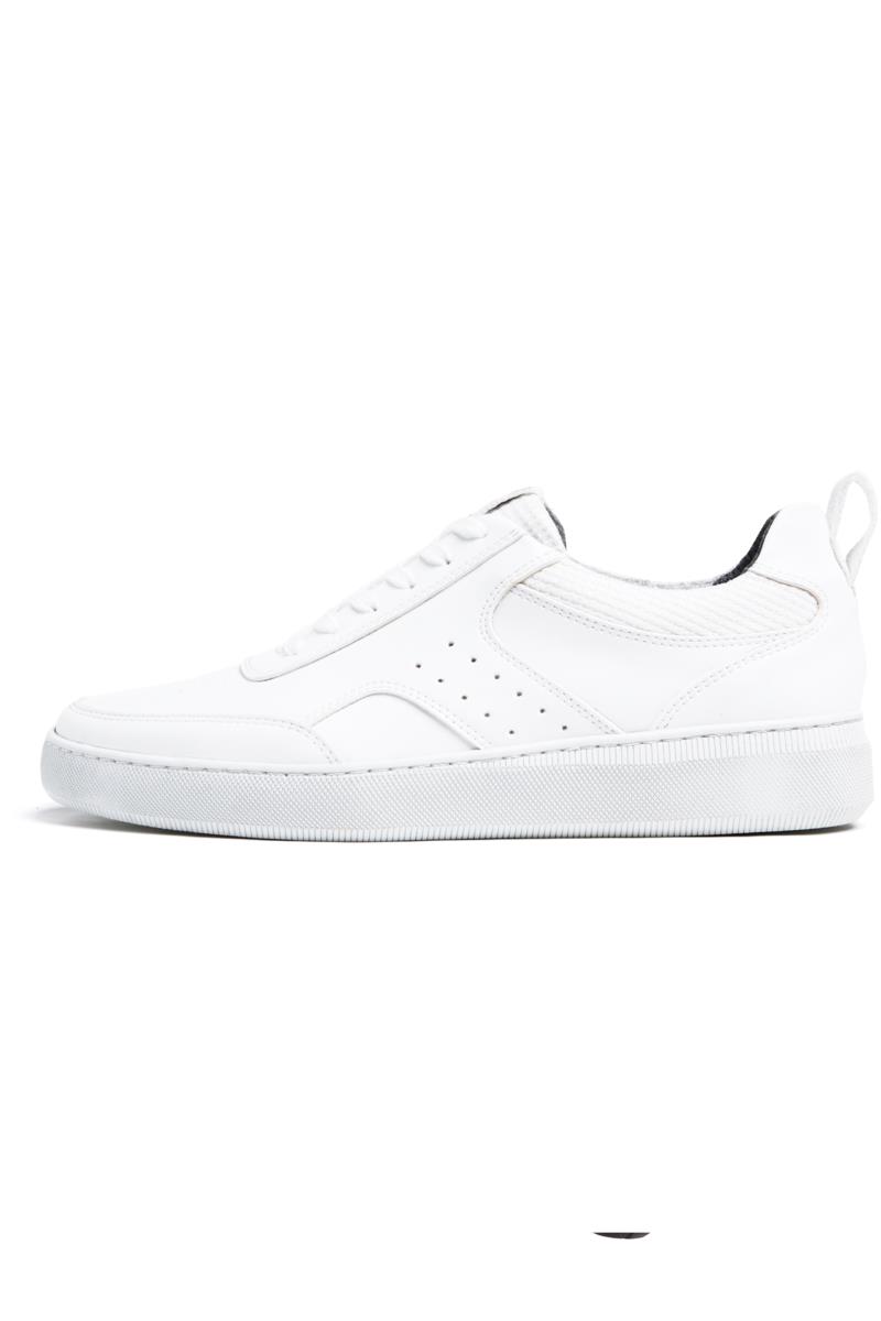 Will's Vegan Store Herren vegan MÃ¼nchen 2 Sneaker