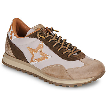 Cetti Lage Sneakers  C-1259-SRA-INV26-ANTE-NILON-DESSERT