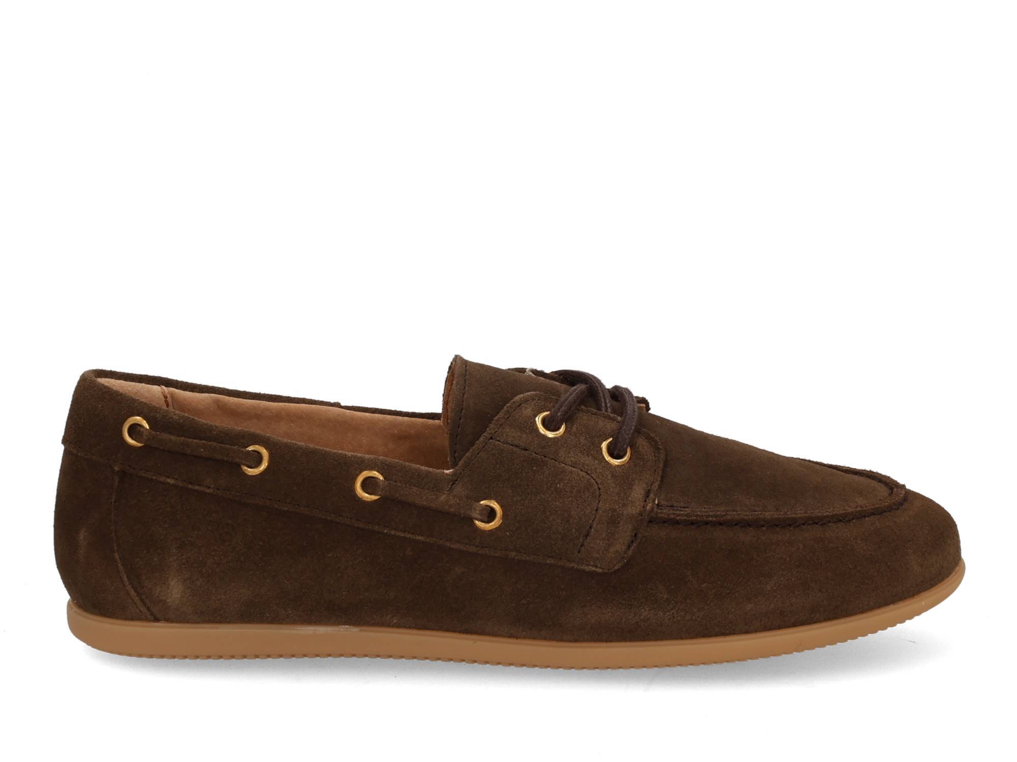DWRS label Latty 11927-02 dark brown Bruin 