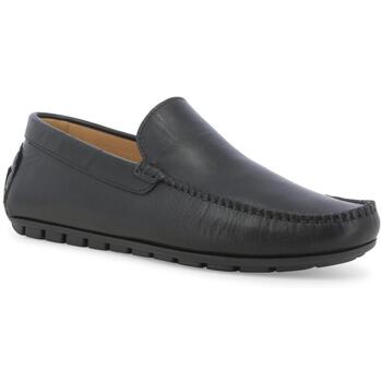 Melluso Klassieke Schoenen  MEL-RRR-U16012Z-244551