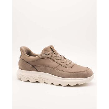 Geox Lage Sneakers  -
