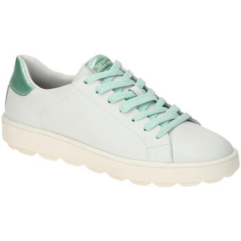 Geox Lage Sneakers  -