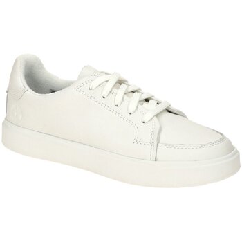 Timberland Lage Sneakers  -