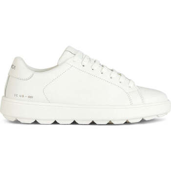 Geox Lage Sneakers  -