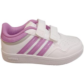 Adidas Sneakers  hoops