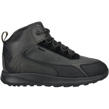 Geox Laarzen  Enkellaarzen