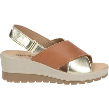 IGI&Co Sandalen IgI&CO Sandalen