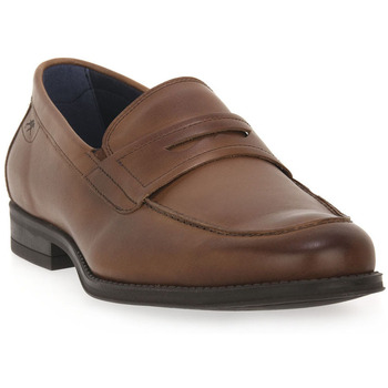 Fluchos Mocassins  HABANA CAMEL