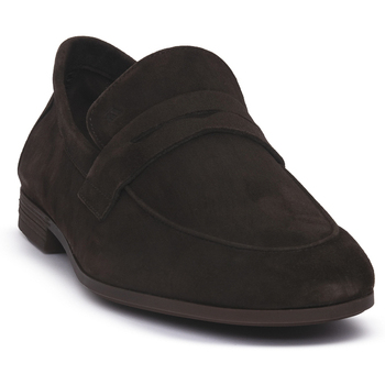 Frau Mocassins  DAINO CACAO