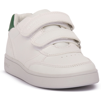 Geox Sneakers  ECLYPER