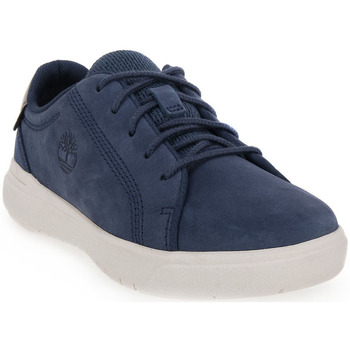 Timberland Sneakers  SENECA BAY OX