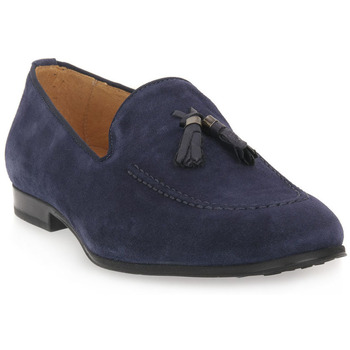 Exton Mocassins  CAMOSCIO ROYAL