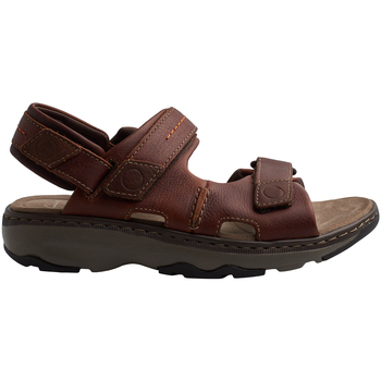 Clarks Sandalen  RAFFE-COAST-BROWN LETAHER