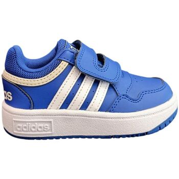 Adidas Lage Sneakers  hoops
