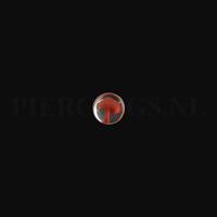 Piercings.nl Plug paddestoel 5 mm 5 mm