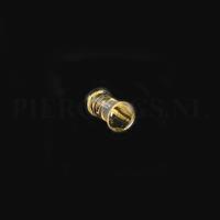 Piercings.nl Plug goud 5 mm 5 mm