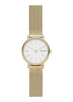 Skagen Horloge Signatur SKW2693