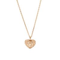 Fossil collier