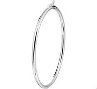 TFT Bangle Scharnier Ronde Buis 3 X 60 mm