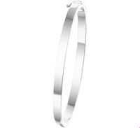 TFT Slavenband Zilver Scharnier Vlakke Buis 4 X 60 mm