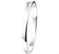 TFT Slavenband Zilver Scharnier Bolle Buis 6 X 60 mm