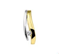 TFT Hanger Bicolor Goud Zirkonia