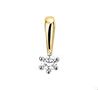 TFT Hanger Bicolor Goud Diamant 0.05ct H SI