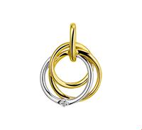 TFT Hanger Bicolor Goud Diamant 0.02ct H SI