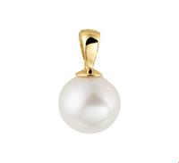 TFT Huiscollectie Hanger Geelgoud 12,5 mm incl Parel van 7,5 mm