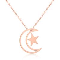 cillajewels ketting Moon Star rosegoud Verguld