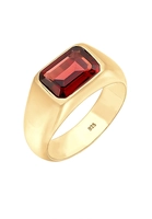 Elli PREMIUM Zegel met Granaat Edelsteen Rode Trend van 925 Sterling Zilver