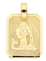 Adelia´s Kettenanhänger »Gold 8 k (333) Sternzeichen Anhänger«, Wassermann 8 k 333 Gelbgold