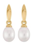 Valeria Oorhangers 87481247 Geelgoud 375