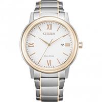 Citizen Solaruhr »AW1676-86A«