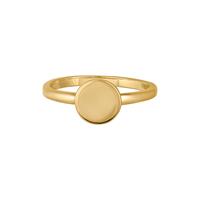 Caï Dames Ring in zilver, goud, voor Dames, 4006046335966, EAN: 274270164-054