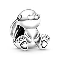 Pandora Charm Friends 798763C00