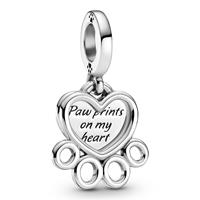 Pandora Charm Passions 799360C00