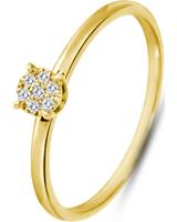 Valeria Dames Ring in 9 Karaat goudkleurig, goud, voor Dames, 4064721998417, EAN: 88032101