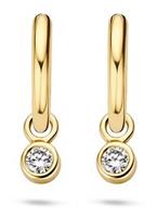 Blush 14 karaats geelgouden bedelhangers met zirkonia 9058yzi